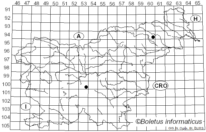 <i>Xeromphalina cornui</i> (Quél.) J. Favre