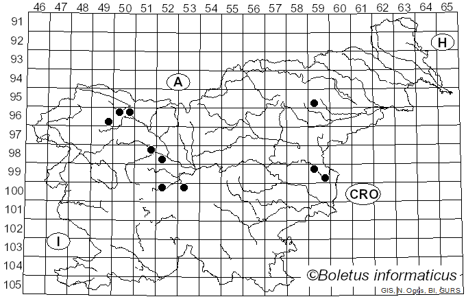 <i>Geoglossum</i> Pers. (1794)