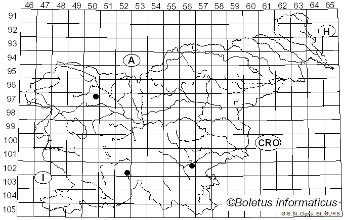 <i>Inocybe pallida</i> Velen. (1920)