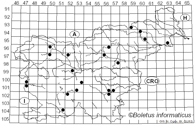 <i>Parasola auricoma</i> (Pat.) Redhead, Vilgalys & Hopple (2001)