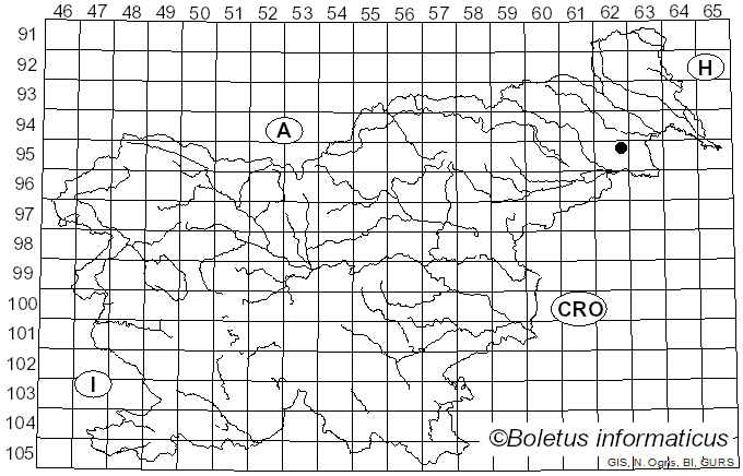 <i>Amanita fulvoides</i> Neville & Poumarat (2009)