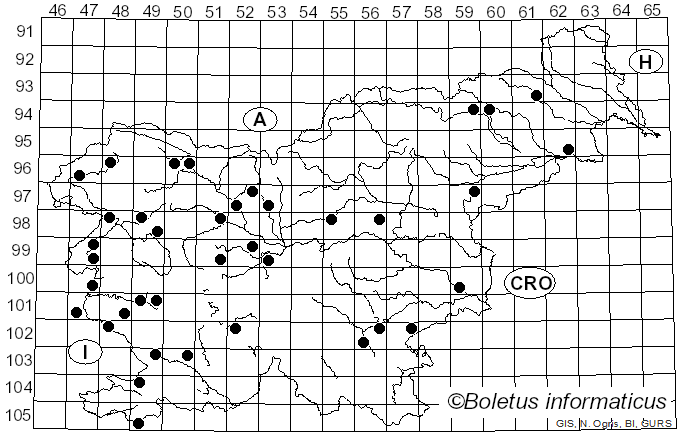 <i>Tulostoma</i> Pers. (1794)