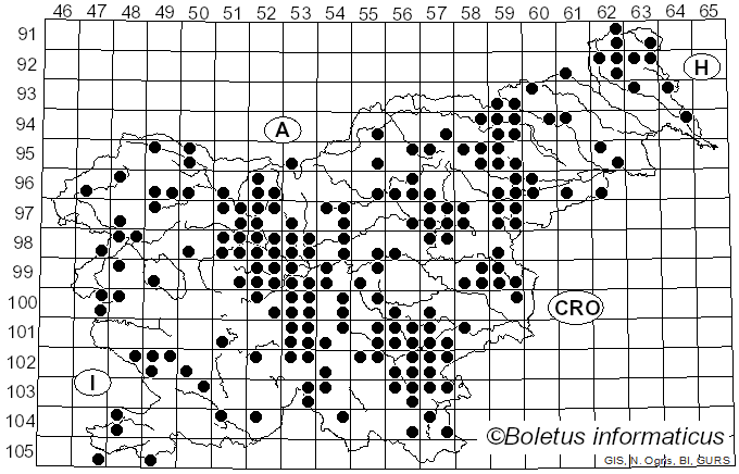 <i>Hygrophorus eburneus</i> (Bull.) Fr. (1838)