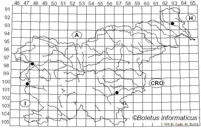 <i>Agaricus lanipes</i> (F.H. Møller & Jul. Schäff.) Singer (1949)