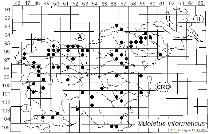 <i>Panaeolus papilionaceus</i> (Bull.) Quél. (1872)