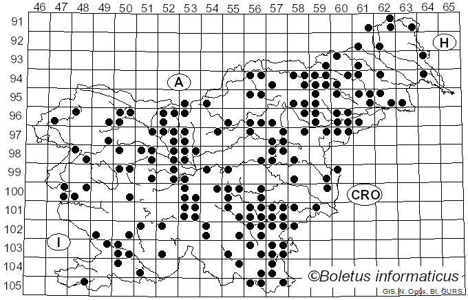 <i>Cyathus striatus</i> (Huds.) Willd. (1787)