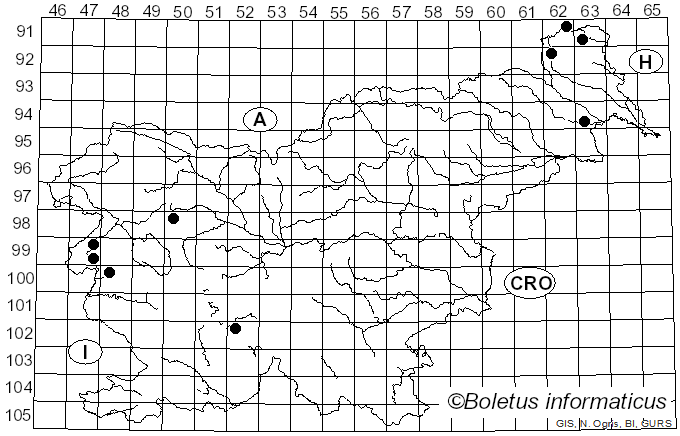 <i>Hypoxylon perforatum</i> (Schwein.) Fr. (1849)