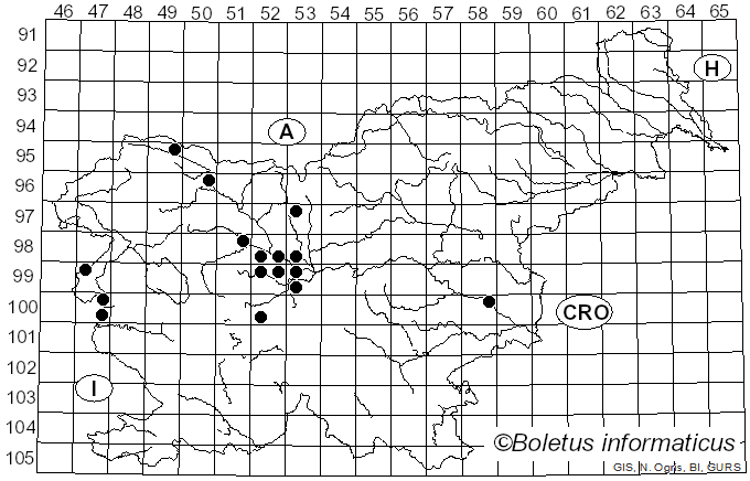 <i>Puccinia recondita</i> Dietel & Holw. (1857)