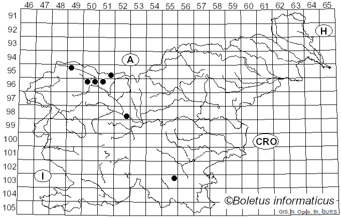 <i>Rhytisma salicinum</i> (Pers.) Fr. (1823)