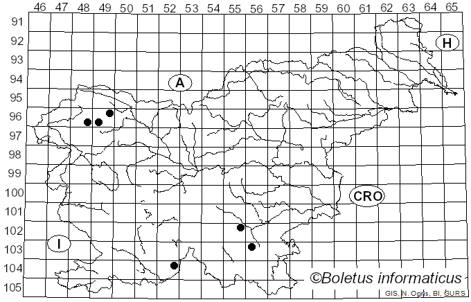 <i>Cladonia symphycarpia</i> (Flörke) Fr. (1826)
