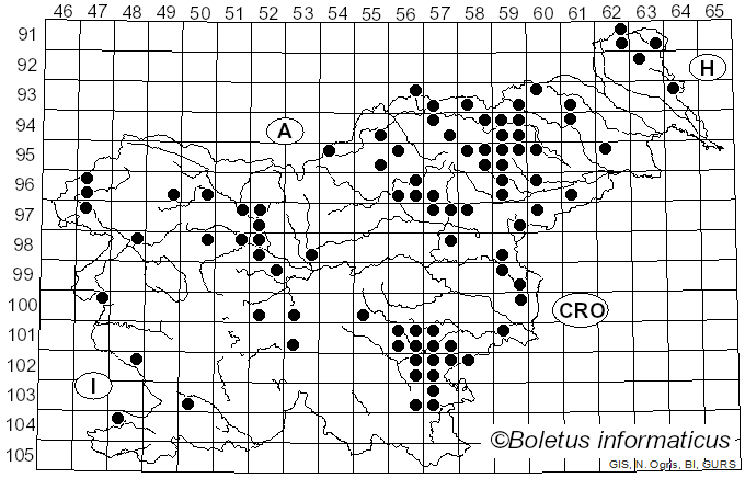 <i>Xerocomellus pruinatus</i> (Fr.) Šutara (2008)