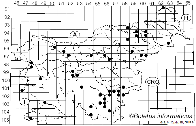 <i>Schizopora paradoxa</i> (Schrad.) Donk (1967)