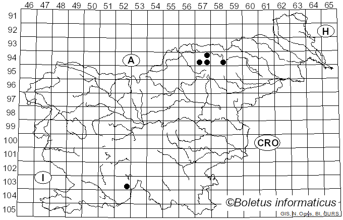 <i>Stigmidium congestum</i> (Körb.) Triebel (1991)