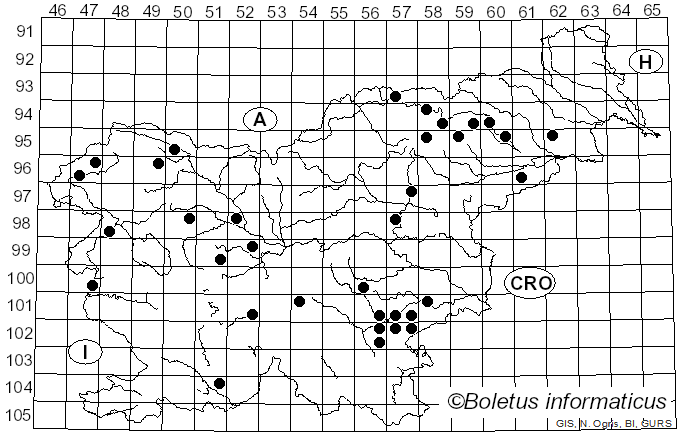 <i>Agrocybe pediades</i> (Fr.) Fayod (1889)