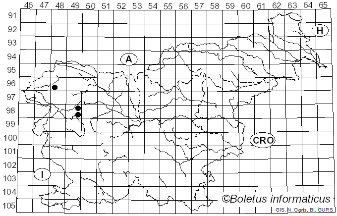<i>Pseudoporpoloma pes-caprae</i> (Fr.) Vizzini & Consiglio (2016)