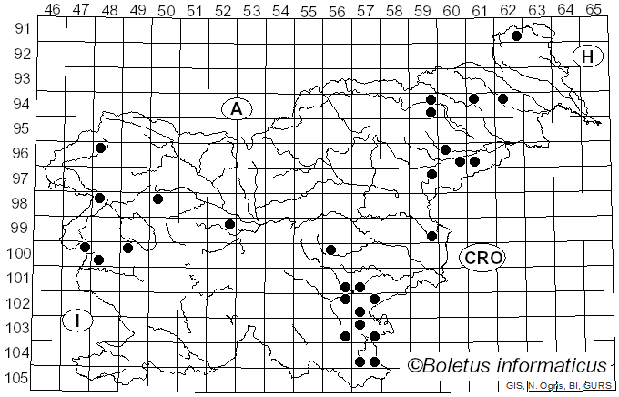 <i>Crepidotus crocophyllus</i> Berk.