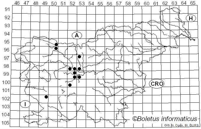 <i>Hyaloperonospora parasitica</i> (Pers.) Constant. (2002)