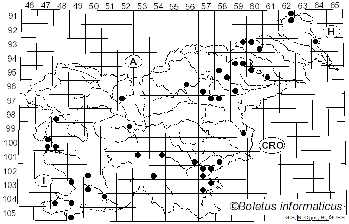 <i>Aureoboletus</i> Pouzar (1957)