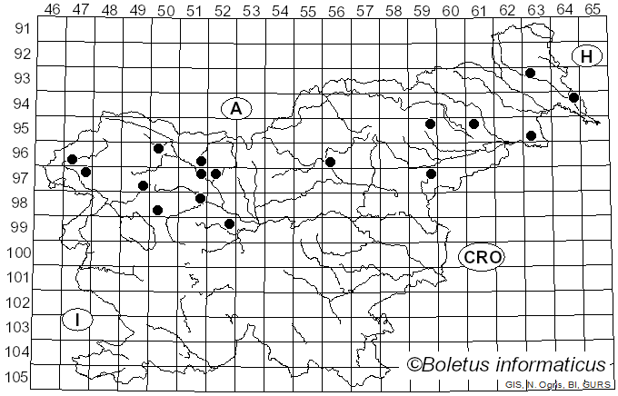 <i>Serpula</i> (Pers.) Gray (1821)