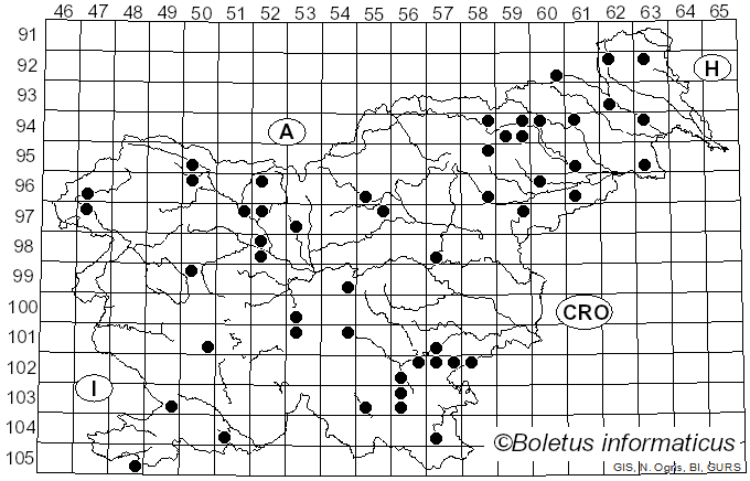 <i>Picipes</i> Zmitr. & Kovalenko (2016)
