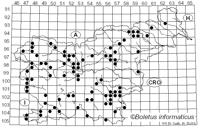 <i>Phellinus pomaceus</i> (Pers.) Maire (1933)