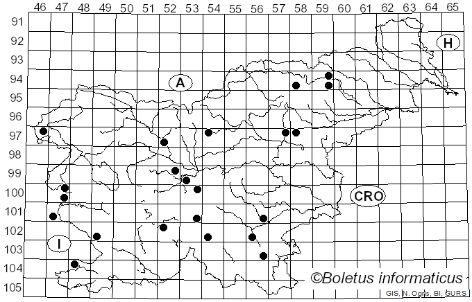 <i>Clitopaxillus alexandri</i> (Gillet) G. Moreno, Vizzini, Consiglio & P. Alvarado (2018)