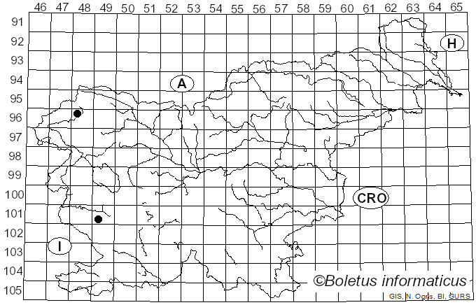 <i>Protocrea farinosa</i> (Berk. & Broome) Petch (1937)