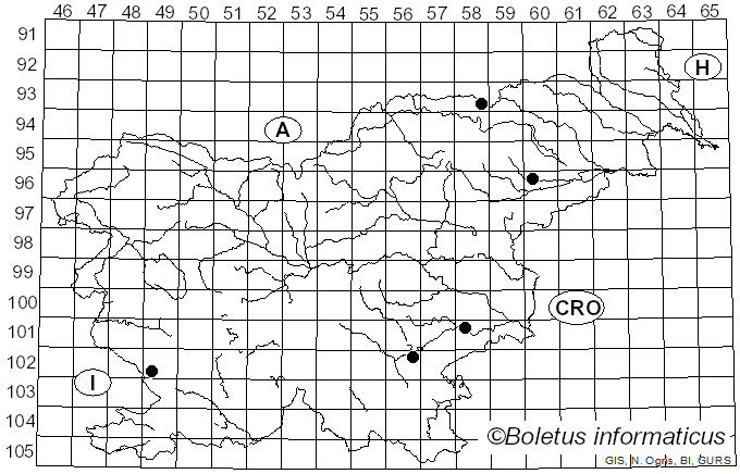 <i>Mycena atroalba</i> (Bolton) Fr.