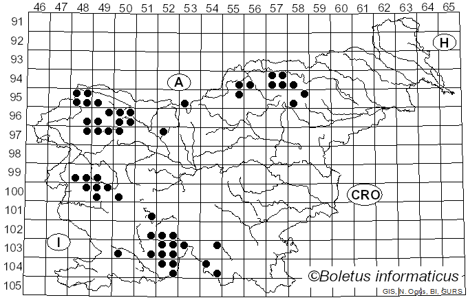 <i>Phlyctis argena</i> (Ach.) Flot. (1850)