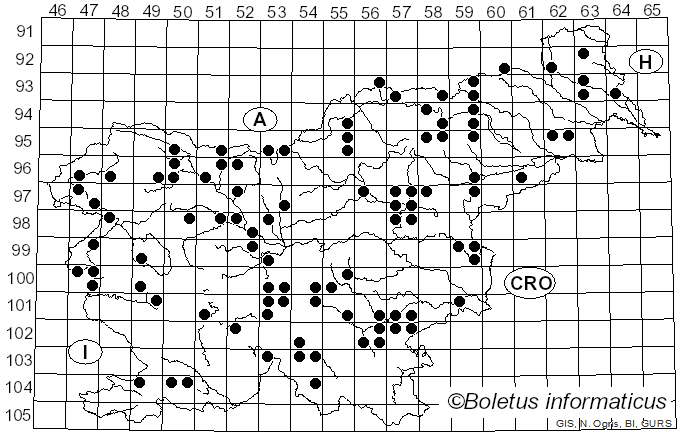 <i>Bolbitius titubans</i> (Bull.) Fr. (1838)