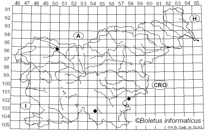 <i>Efibula tuberculata</i> (P. Karst.) Zmitr. & Spirin (2006)