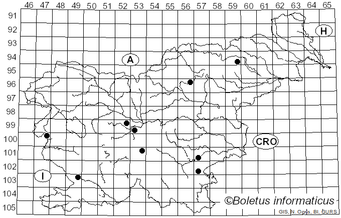 <i>Agaricus impudicus</i> (Rea) Pilát (1951)
