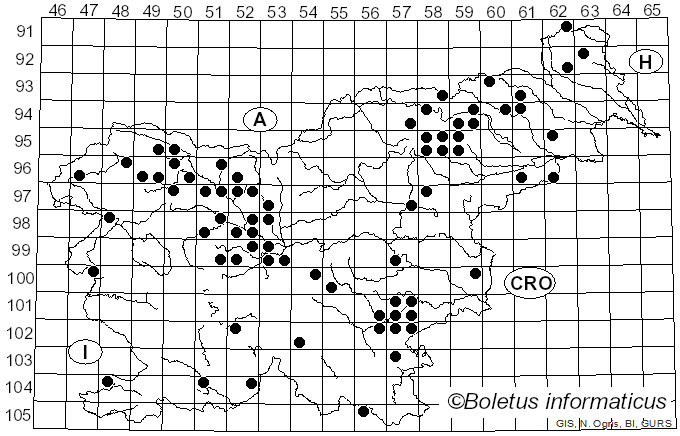 <i>Cortinarius allutus</i> Fr.