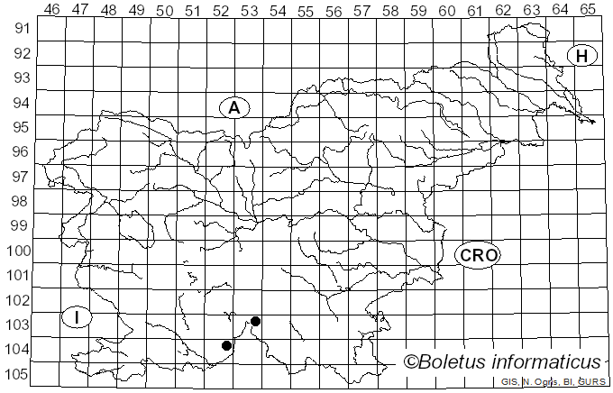 <i>Physarum mutabile</i> (Rostaf.) G. Lister (1911)