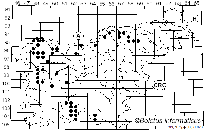 <i>Ramalina fastigiata</i> (Pers.) Ach. (1810)