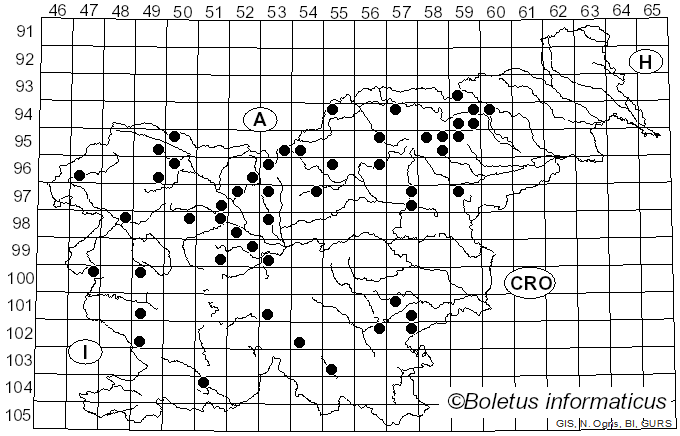<i>Phaeolepiota aurea</i> (Matt.) Maire (1928)