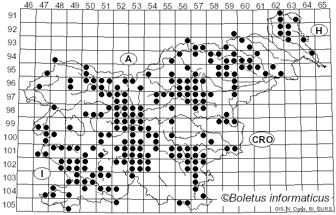 <i>Suillus granulatus</i> (L.) Snell (1944)