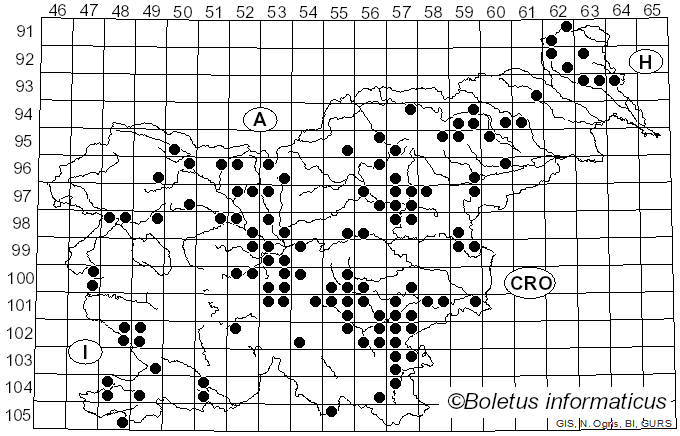 <i>Entoloma sinuatum</i> (Bull.) P. Kumm. (1871)