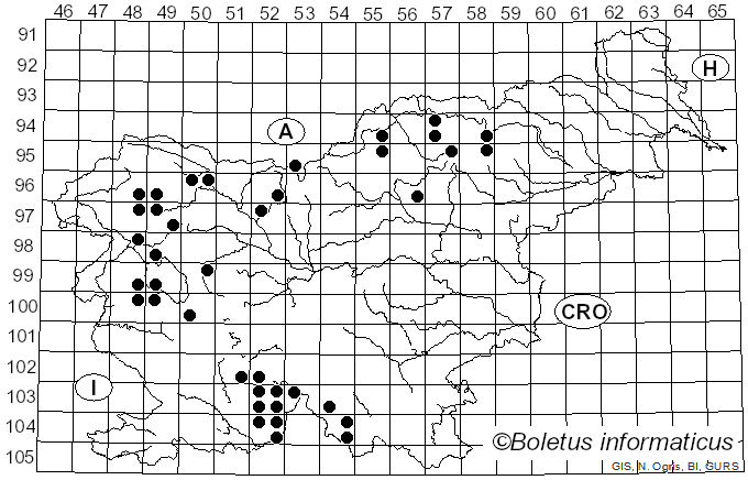 <i>Pertusaria coccodes</i> (Ach.) Nyl. (1857)