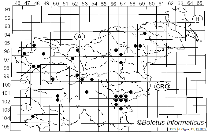 <i>Helvella macropus</i> (Pers.) P. Karst. (1871)