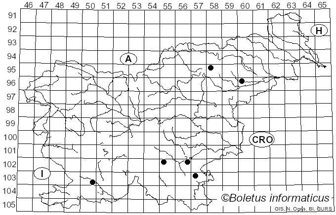 <i>Podoscypha</i> Pat. (1900)