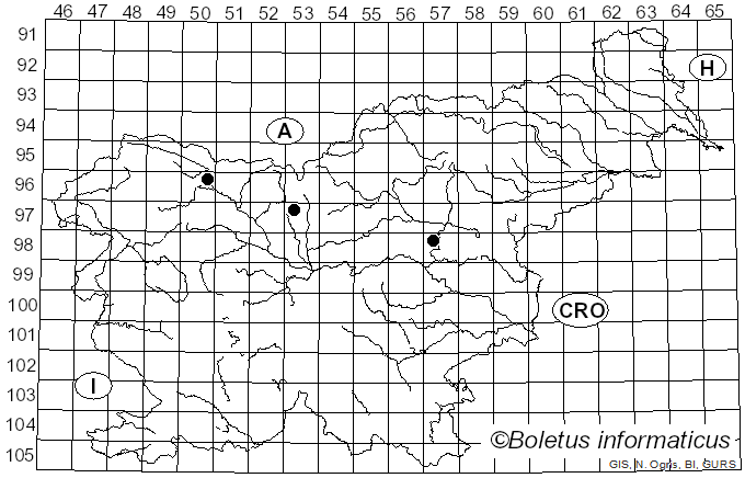<i>Puccinia asperulae</i> Fuckel