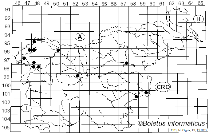 <i>Lecanosticta acicola</i> (Thüm.) Syd. (1924)