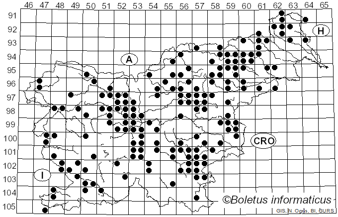 <i>Lactarius chrysorrheus</i> Fr. (1838)