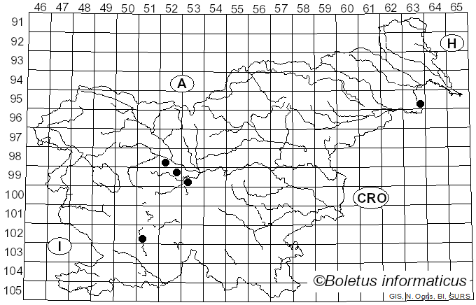 <i>Exosporium tiliae</i> Link (1809)