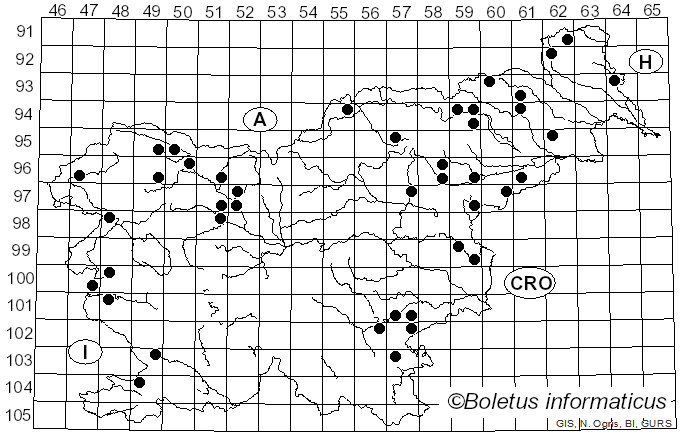 <i>Parasola conopila</i> (Fr.) Örstadius & E. Larss. (2008)