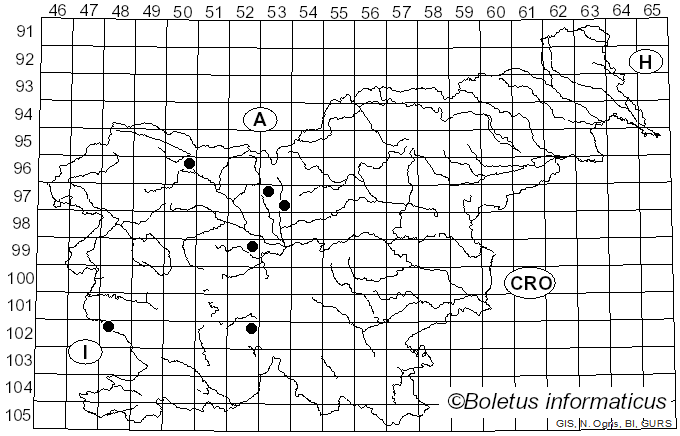 <i>Hendersonia</i> Berk. (1841)