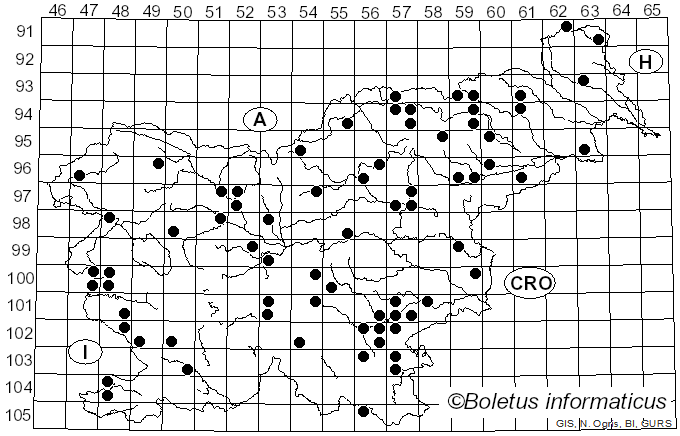<i>Pholiota gummosa</i> (Lasch) Singer (1951)