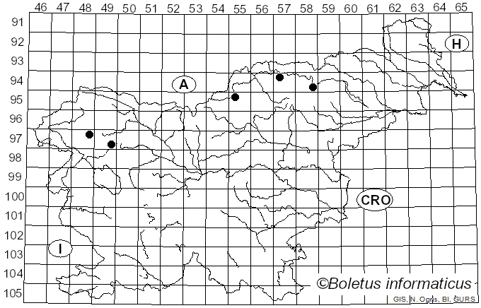 <i>Rinodina glauca</i> Ropin (1993)