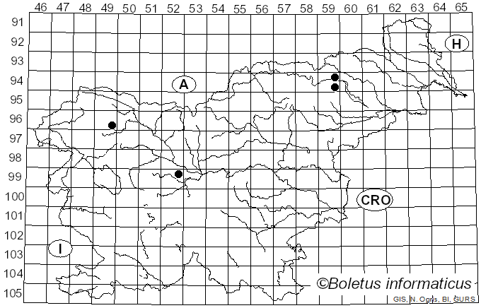 <i>Clavaria argillacea</i> Fr. (1821)